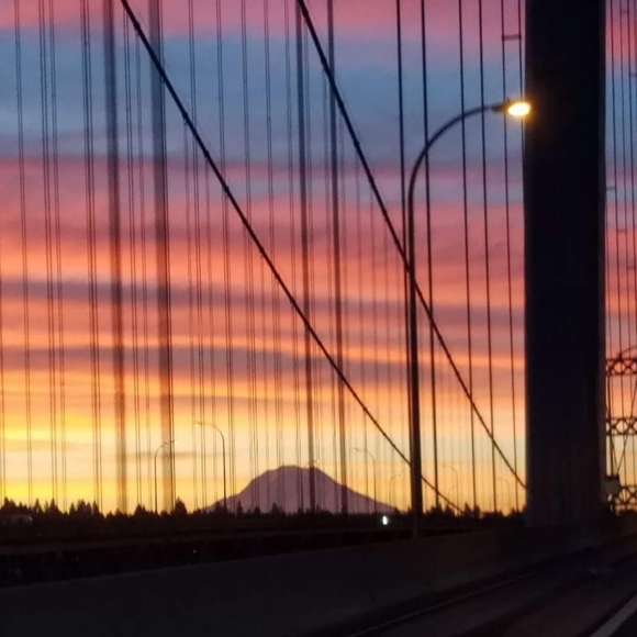 Meet your Posher, Sheree - Picture 12 of 12